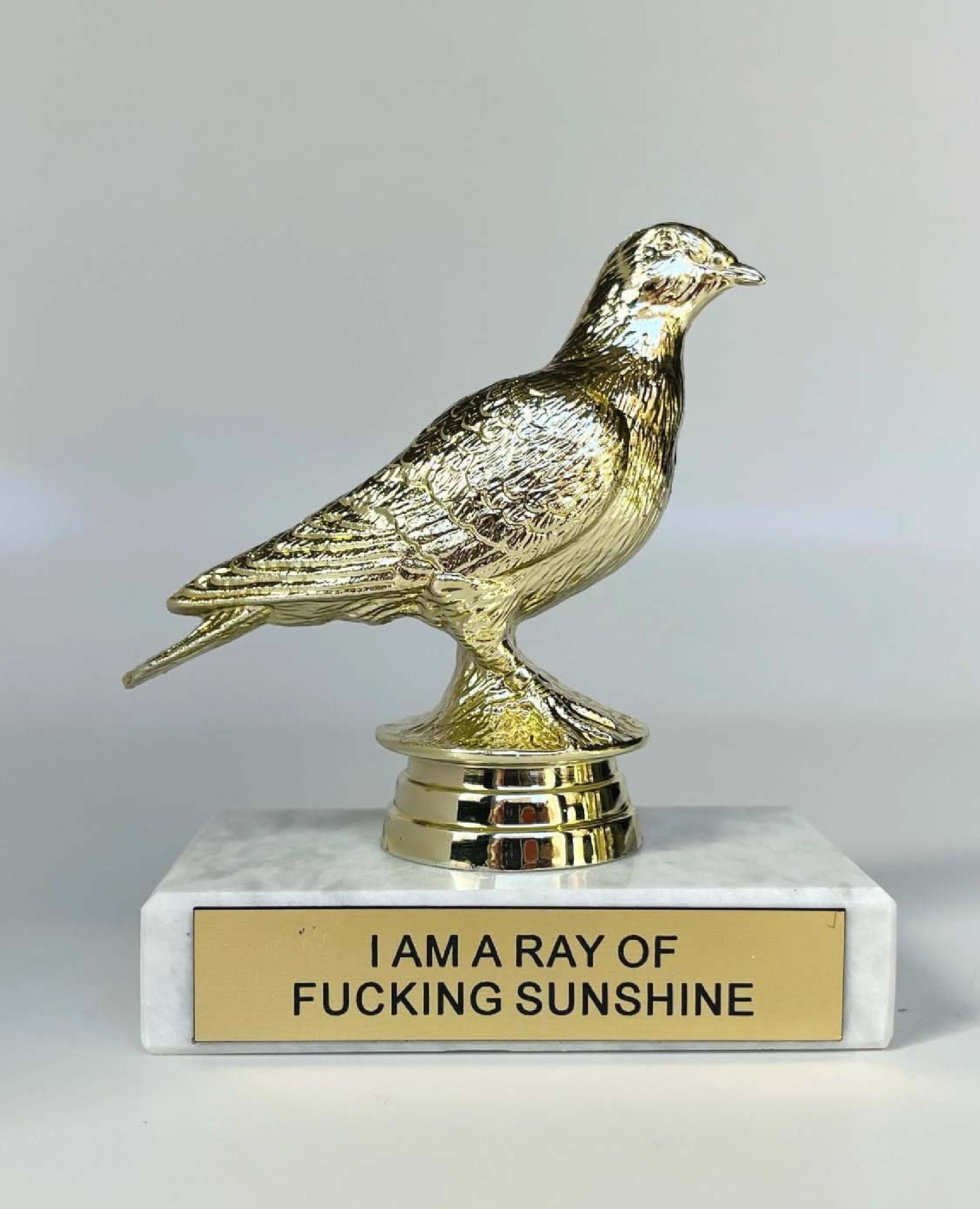 I Am A Ray of Fucking Sunshine Participation Trophy
