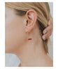 Carnelian Agate Gemstone Drop Earrings