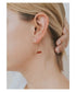 Carnelian Agate Gemstone Drop Earrings